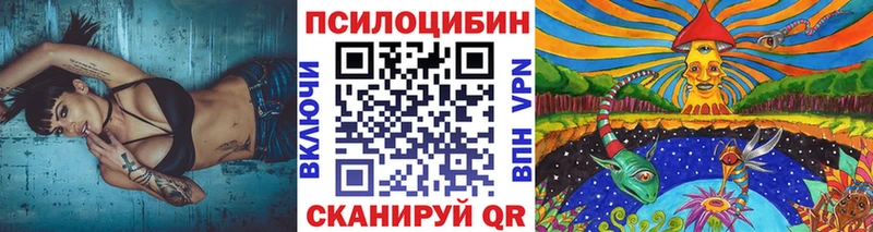 Купить  Туймазы  Псилоцибиновые грибы Cubensis 